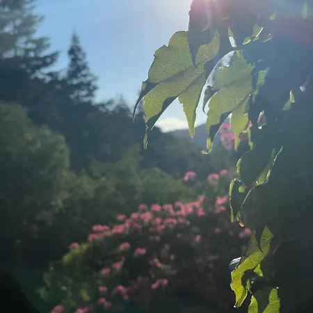 Le Domaine Soala *