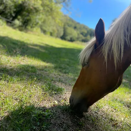 Casa vacanze Le Domaine Soala Lunas (Herault)
