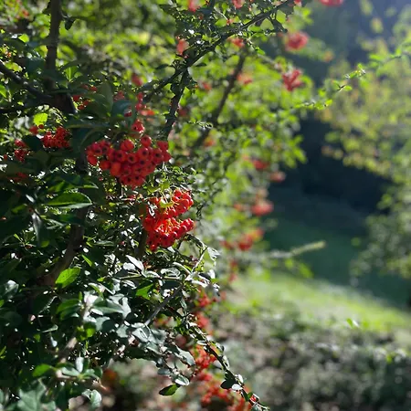 Le Domaine Soala